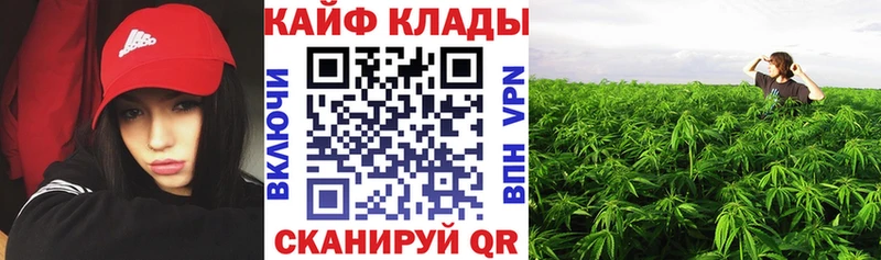 Названия наркотиков Гдов КОКАИН  ГАШ  Псилоцибиновые грибы  Конопля 