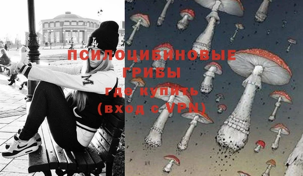ECSTASY Волоколамск