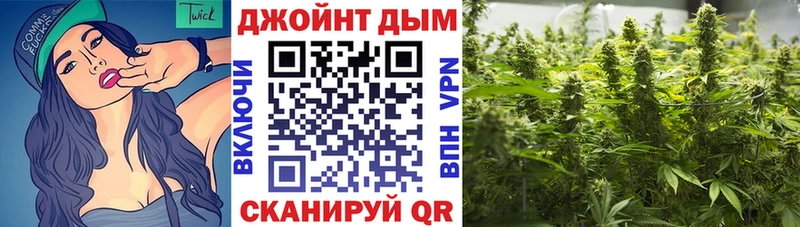 Каннабис ГИДРОПОН  купить наркотик  Гдов 